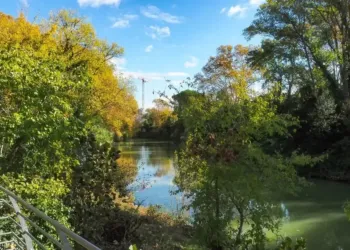 Montpellier Une Soiree Guinguette Au Parc Rimbaud