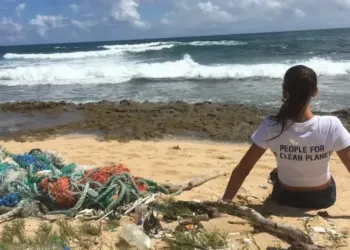 World Cleanup Day