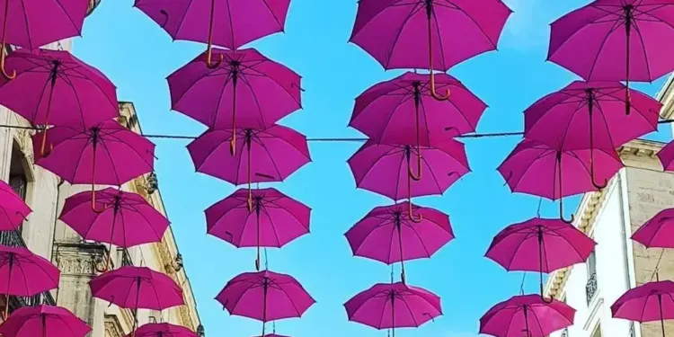 La rue de La Loge sous 300 parapluies roses