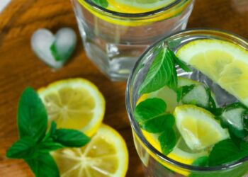 Le Mojito Dans Tous Ses Etats Lors Dune Full Mojito Party