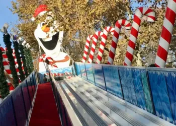 Luge