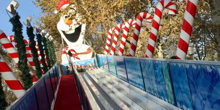 Luge