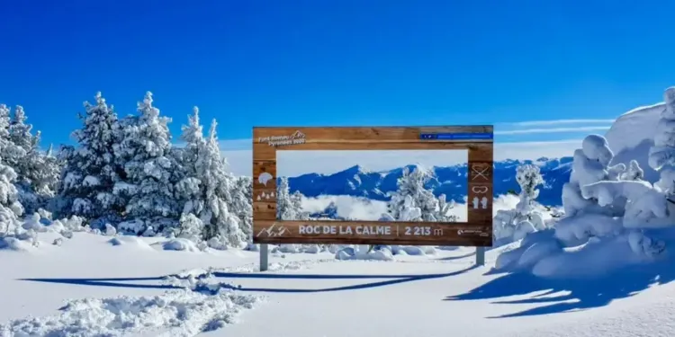 Ski