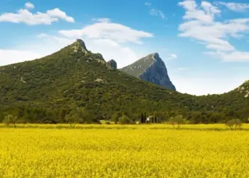 Le Tour de France à l'assaut du Grand Pic Saint-Loup