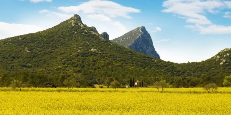 Le Tour de France à l'assaut du Grand Pic Saint-Loup