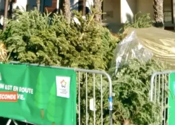 https://www.montpellier.fr/campagnes/ne-jetez-pas-votre-sapin-recyclez-le
