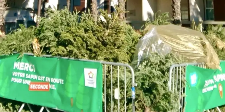 https://www.montpellier.fr/campagnes/ne-jetez-pas-votre-sapin-recyclez-le