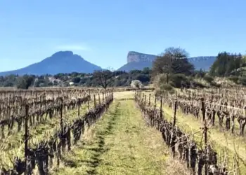 Le Domaine de l'Arbousier se métamorphose en un restaurant éphémère