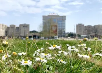 Météo : quand tu commences la semaine avec 22° à Montpellier