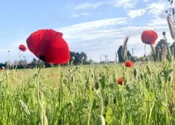 Grabels fête la nature ce week-end !