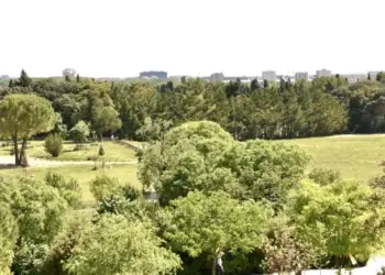 Montpellier lance 10 parcs sans tabac !