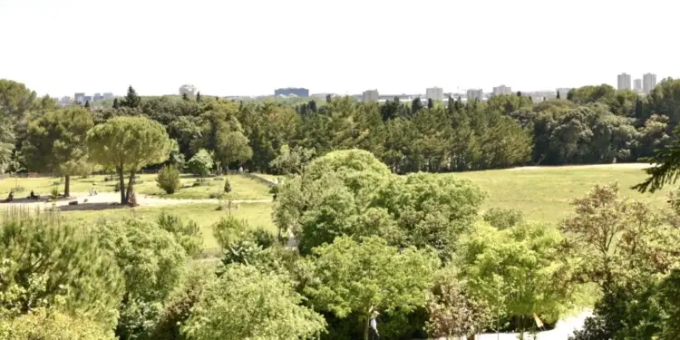 Montpellier lance 10 parcs sans tabac !