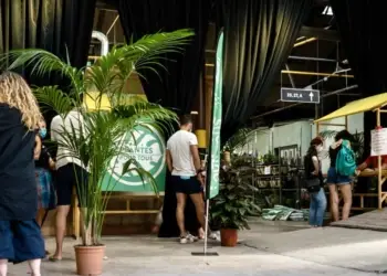 Grande vente de plantes à Montpellier dés 2€