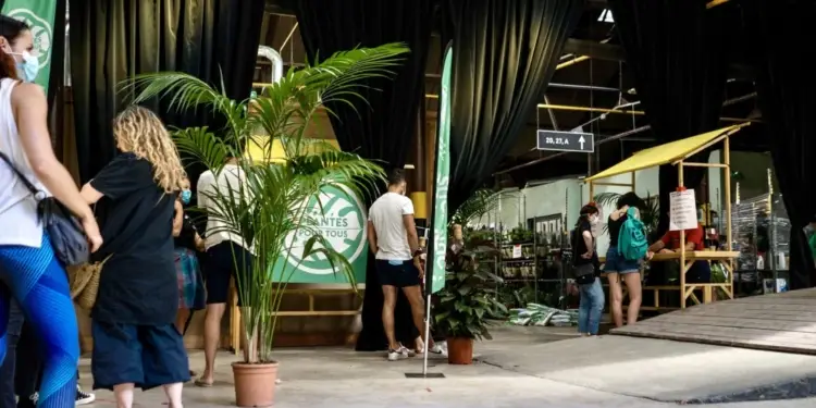 Grande vente de plantes à Montpellier dés 2€