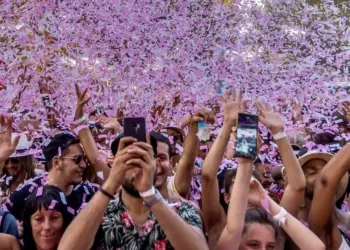 Montpellier : Family Piknik part en live stream