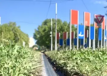 Montpellier : un cocktail bien frais avec 35° cette semaine !