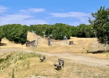 Le Mont Aigoual : la destination fraîcheur