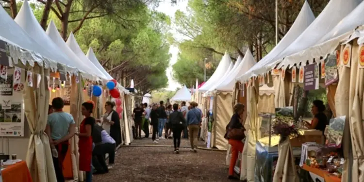 Un grand marché gourmand sur l’Esplanade