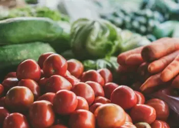 Lancement réussi pour le Marché d’Agropolis