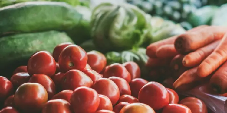 Lancement réussi pour le Marché d’Agropolis