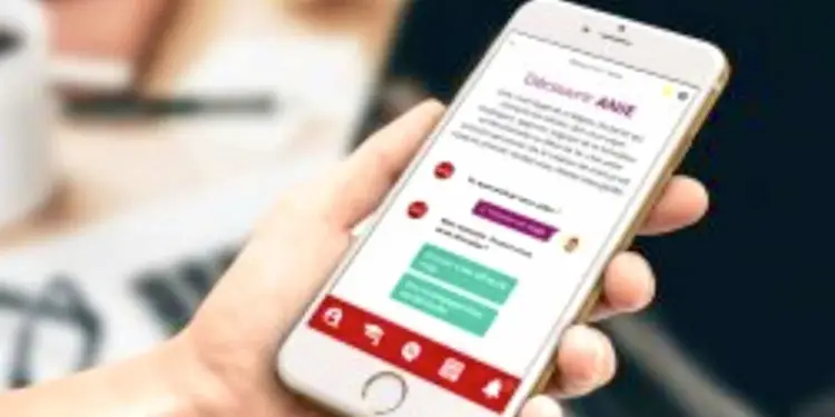 https://www.laregion.fr/Un-stage-pour-tous-les-3e-en-Occitanie