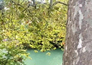 Montpellier : pluvieux mais encore bien doux 