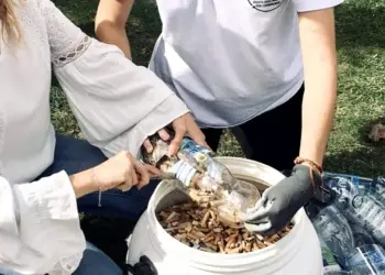 Montpellier : 6 kg de mégots ramassés par les étudiants