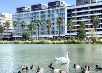 Pas si mal avec du 24° pour ton week-end
