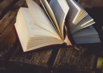 Confinement les libraires indépendantes de Montpellier s’organisent