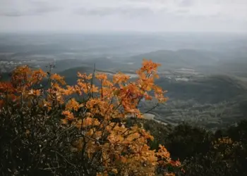 GR préféré des Français 2021 votez pour le GR du Pic Saint-Loup !