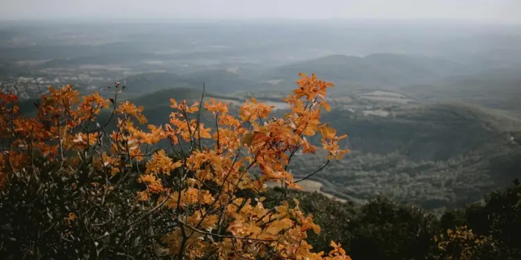 GR préféré des Français 2021 votez pour le GR du Pic Saint-Loup !