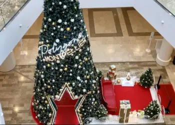 Montpellier : un grand sapin de Noël au Polygone