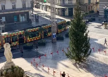 Le sapin est arrivé sur la Comédie !
