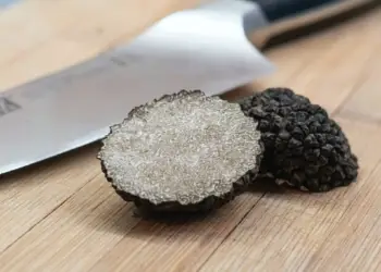 Montpellier un écrin truffé a ouvert ses portes (1)