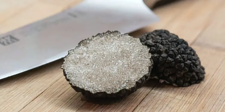 Montpellier un écrin truffé a ouvert ses portes (1)