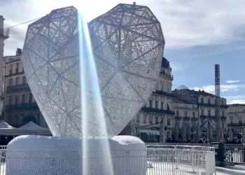 Montpellier : Bye bye le grand coeur !