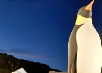 Un pingouin géant à La Grande-Motte