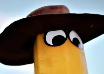 Made in Biollywood « Mes légumes font leur cinéma »
