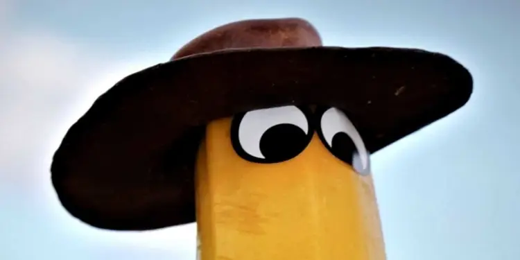 Made in Biollywood « Mes légumes font leur cinéma »