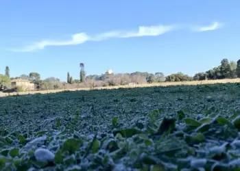 Ca sent la neige…