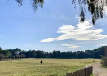 Grande douceur avec 19° pour ton week-end !