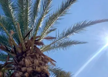 Montpellier : soleil et 24° pour Pâques