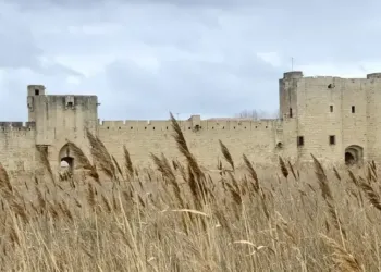 Aigues-Mortes, ses remparts, son histoire et ses salins