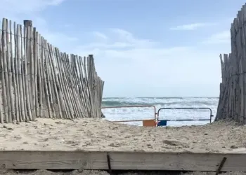 Capuche, vent et douceur pour ton lundi !