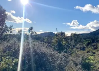 Grand soleil mercredi et jeudi !