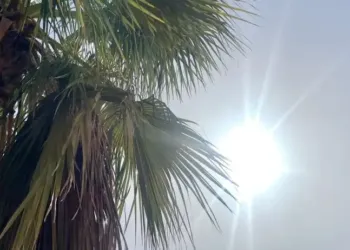 On frôle les 20° pour ton week-end !