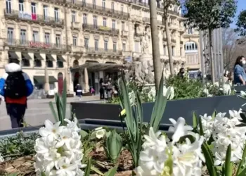 Douceur et 16° pour ton week-end !