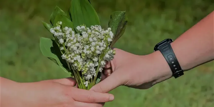1er mai la vente du muguet est de nouveau autorisée