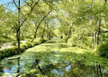 Grand soleil et 22° à Montpellier pour ton week-end !