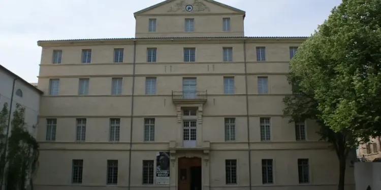 Musée Fabre 11 conférences en ligne pour les grands et les petits - crédit TijsB